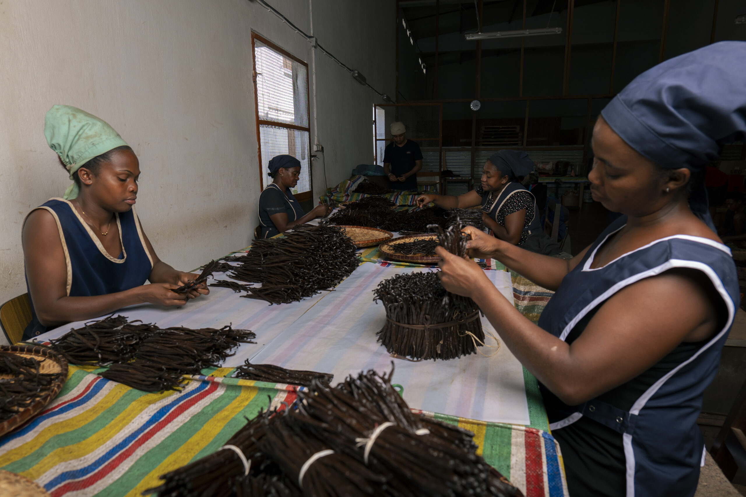 Vanilla beans being prepared in the Sambava workshop